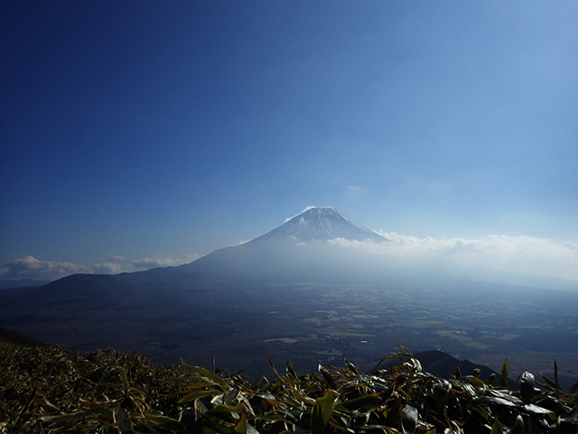 竜ヶ岳稜線から富士