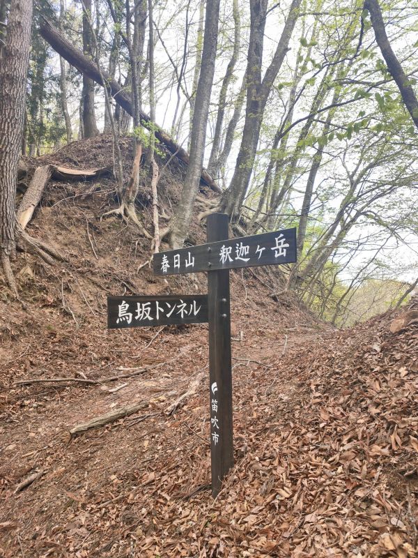 釈迦ヶ岳～鳥坂山