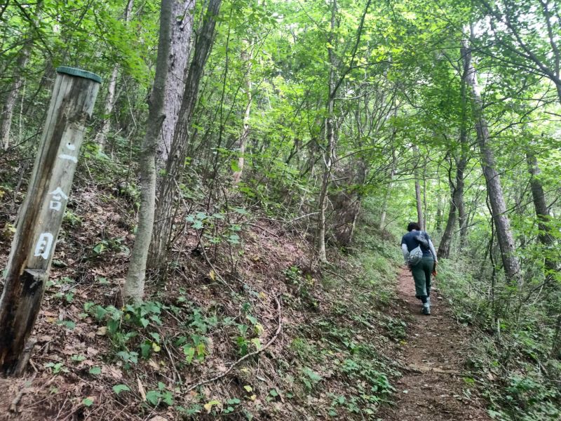 諏訪高尾山