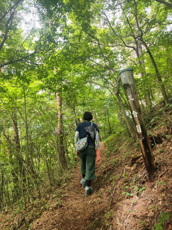 諏訪高尾山