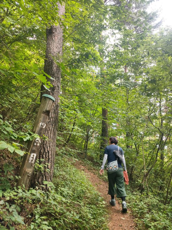 諏訪高尾山