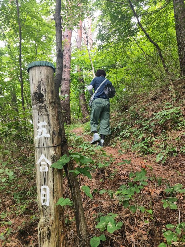 諏訪高尾山