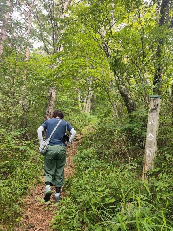 諏訪高尾山