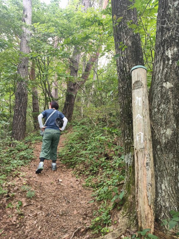 諏訪高尾山