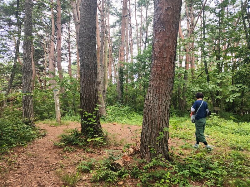 諏訪高尾山