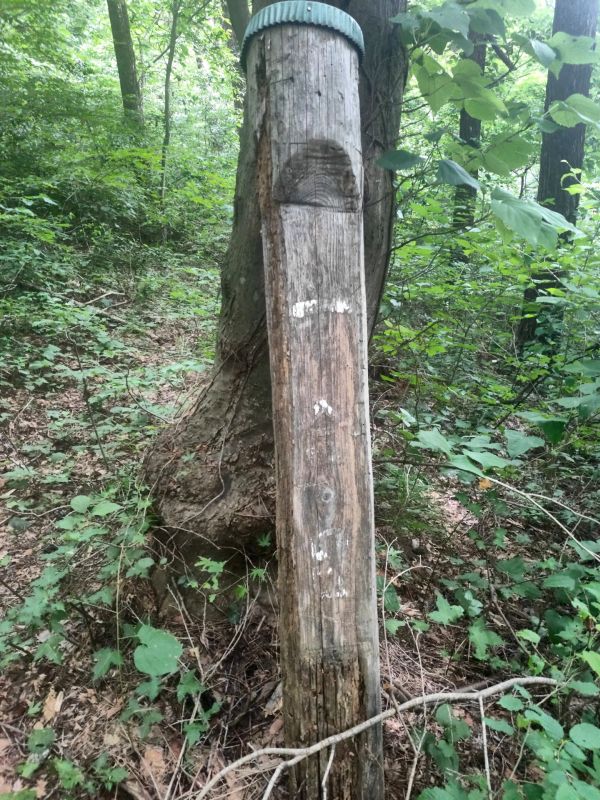 諏訪高尾山