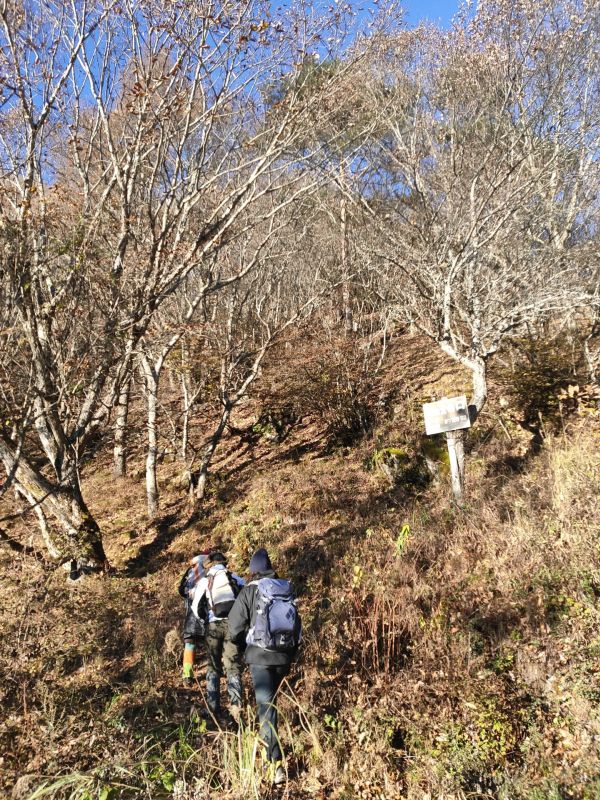 天狗山・男山