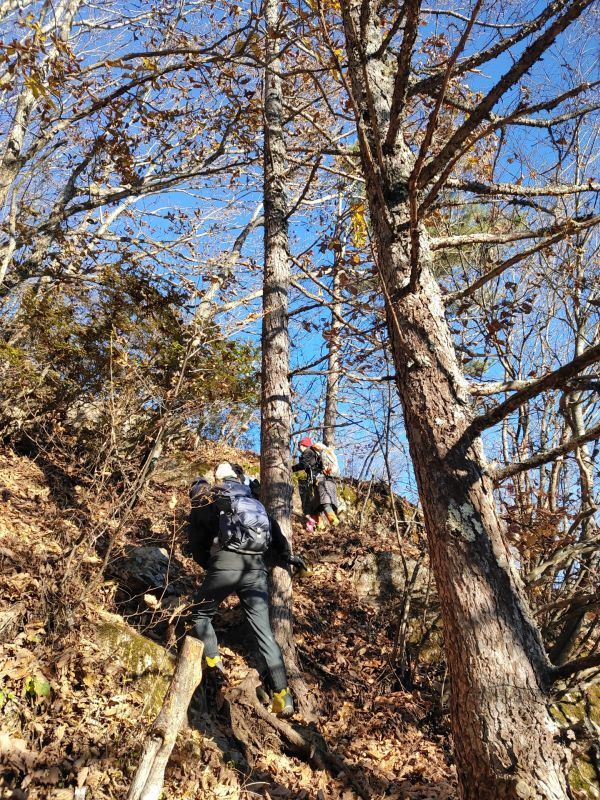 天狗山・男山