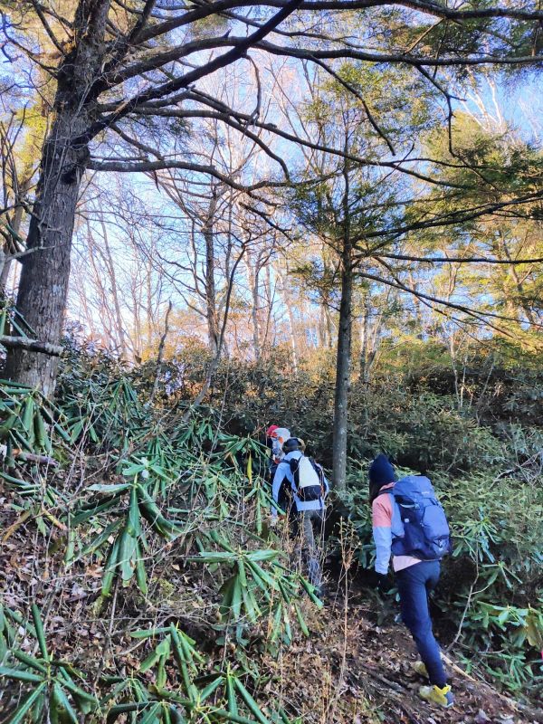 天狗山・男山