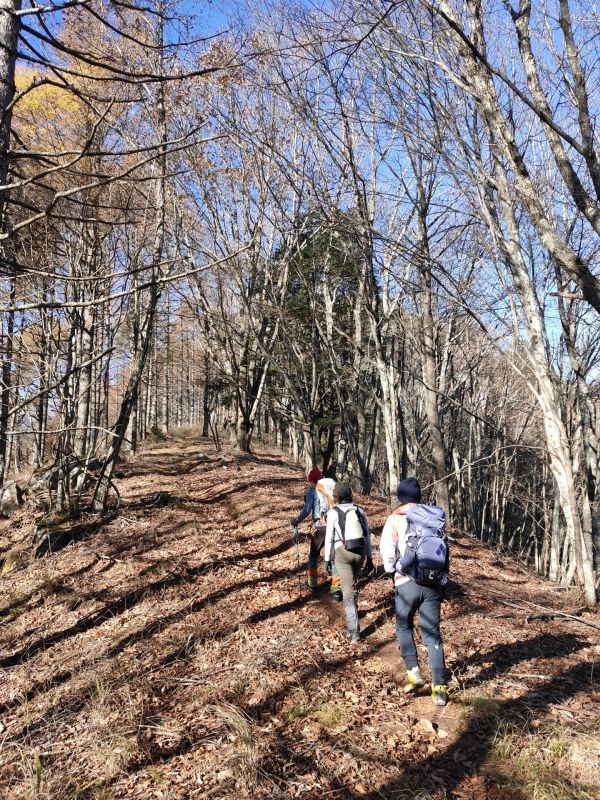 天狗山・男山