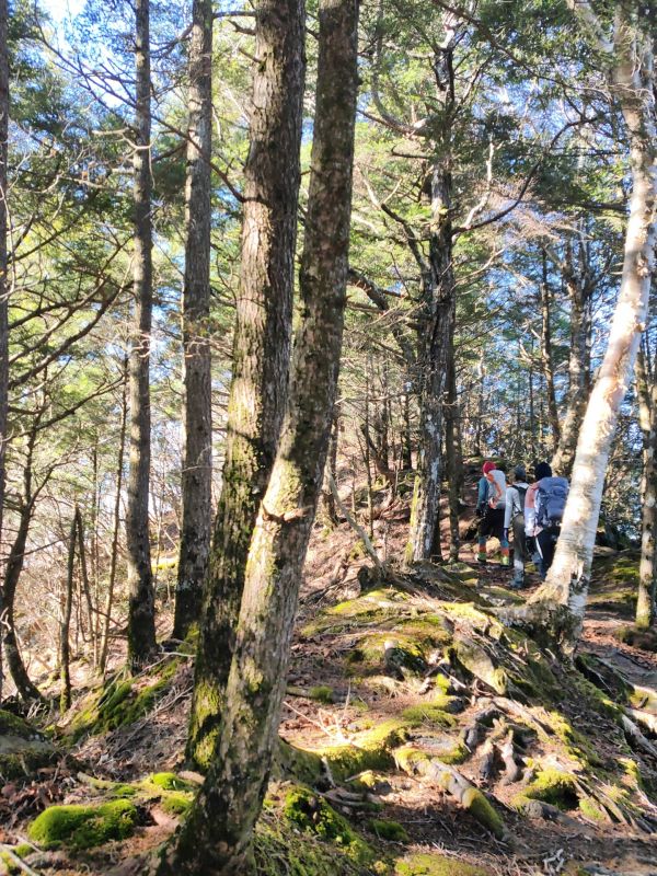 天狗山・男山