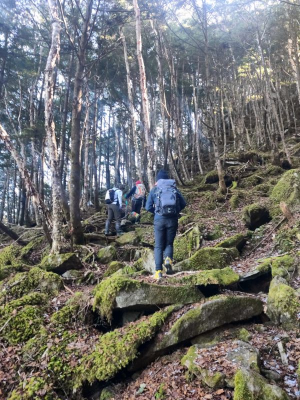 天狗山・男山