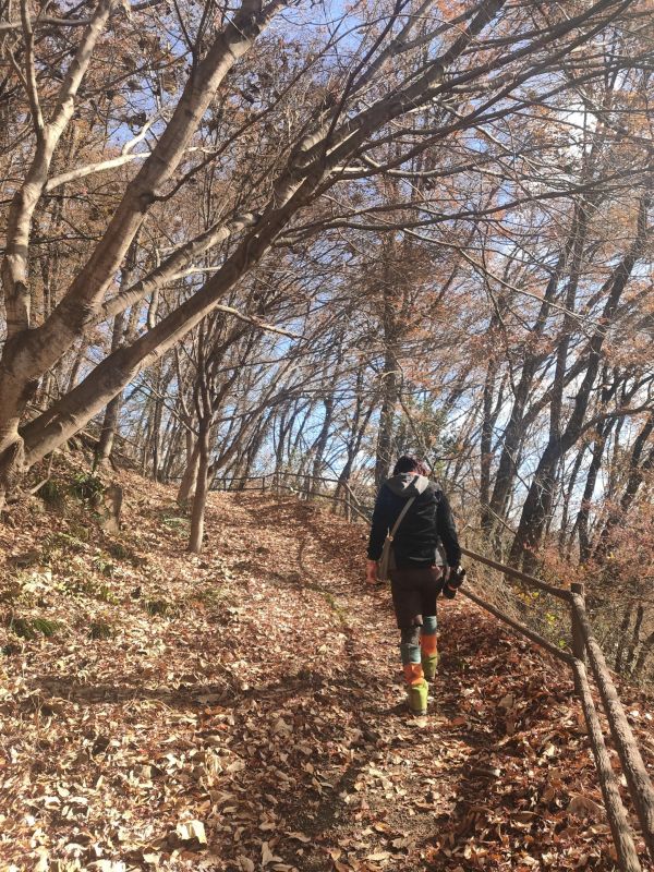 夢見山・大笠山