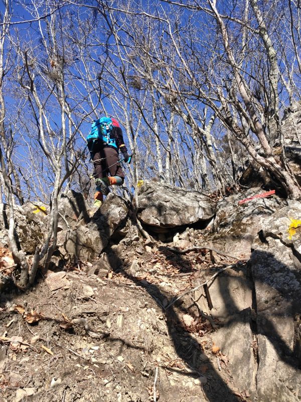 高登谷山