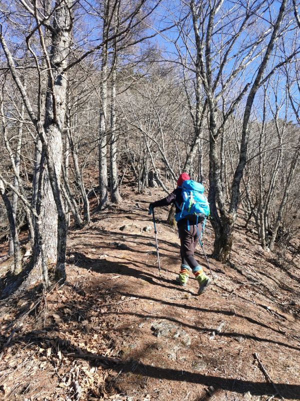 高登谷山