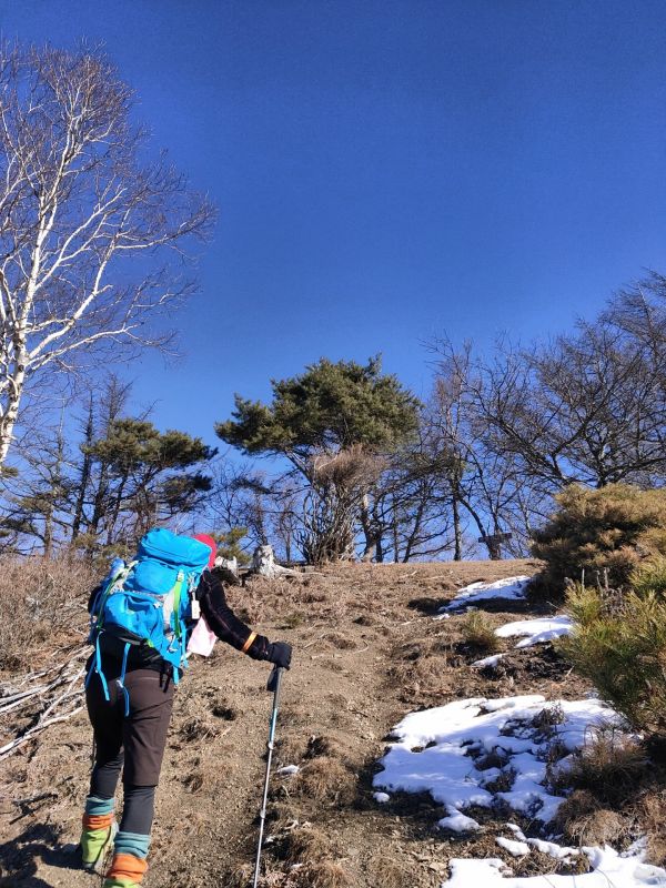 高登谷山