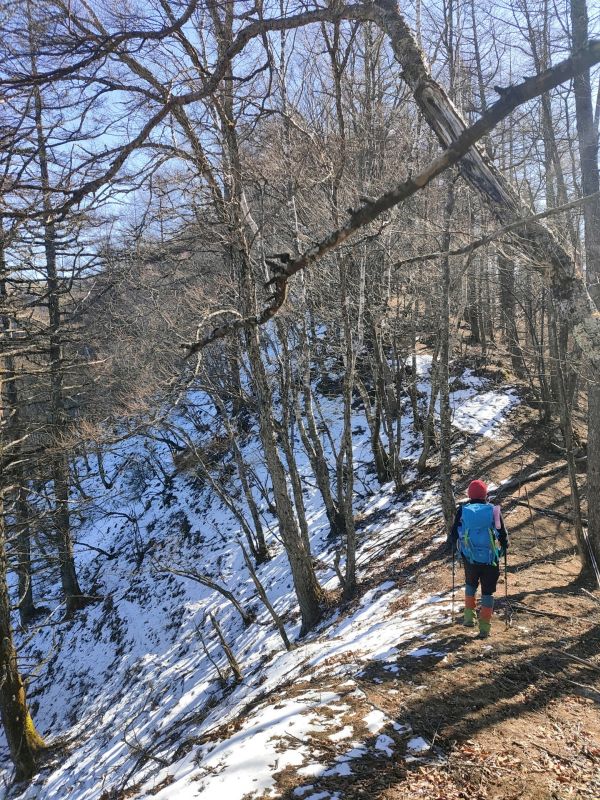 高登谷山