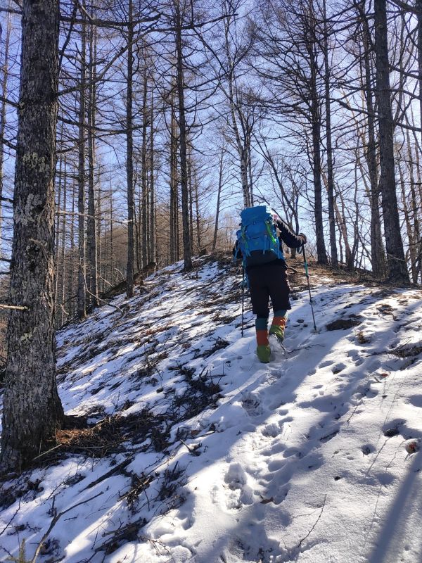 高登谷山