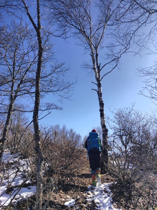 高登谷山