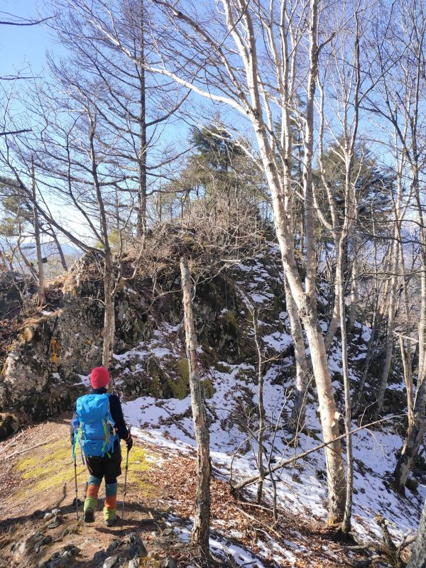 高登谷山