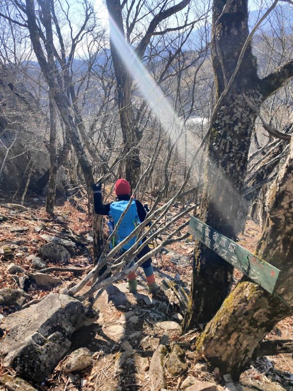 高登谷山