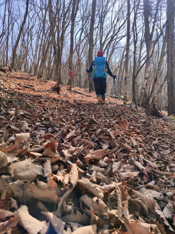 高登谷山