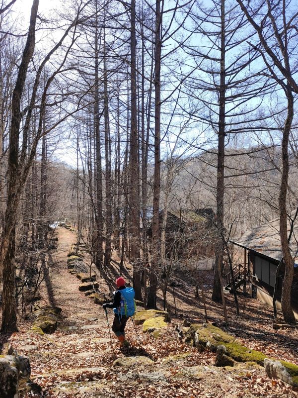 高登谷山