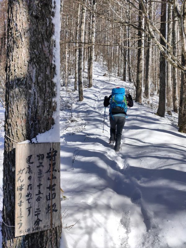 守屋山