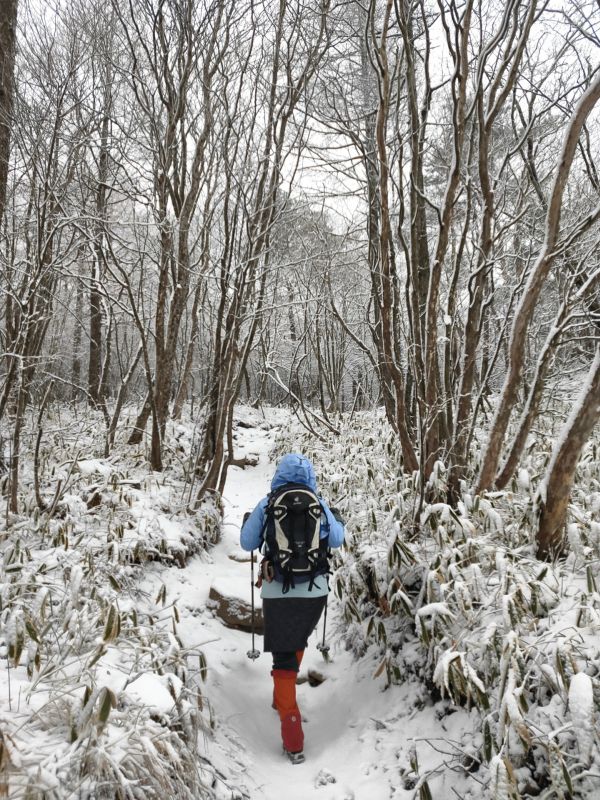 平沢山