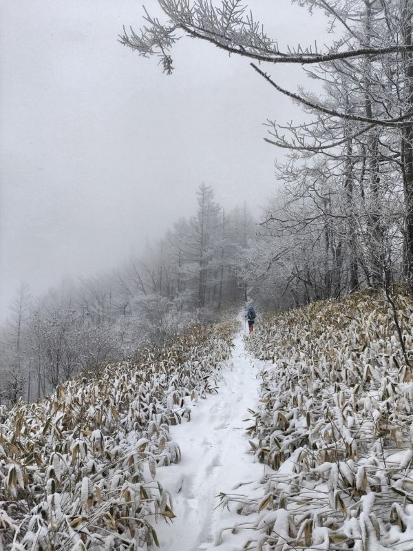 平沢山