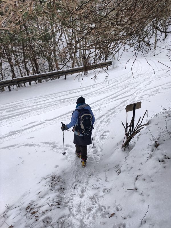 守屋山