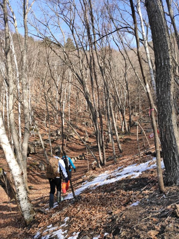 高登谷山