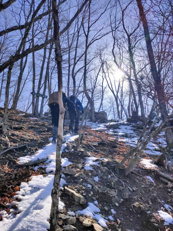 高登谷山