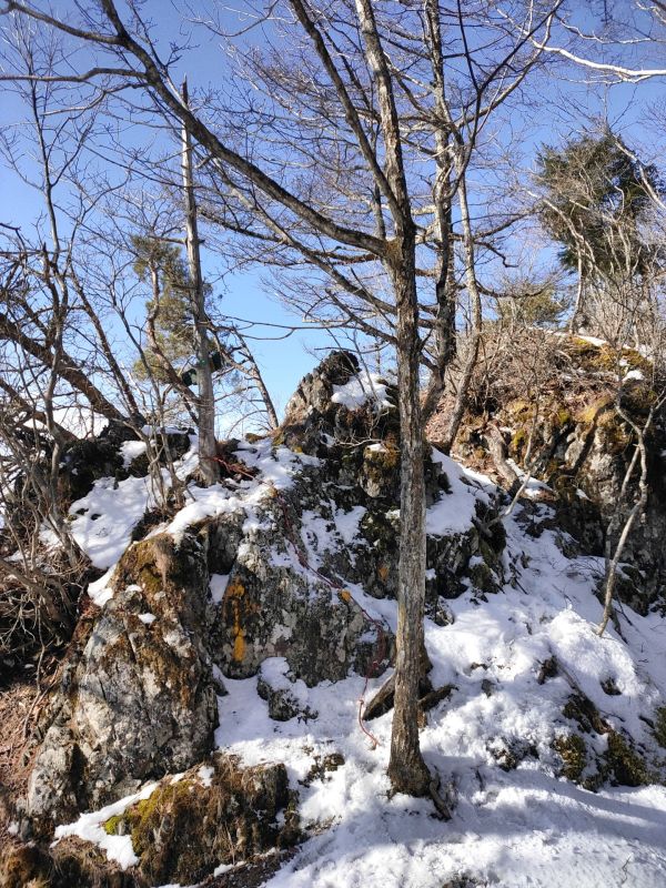 高登谷山