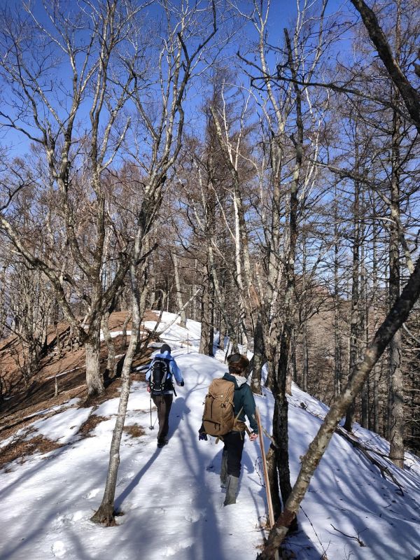 高登谷山