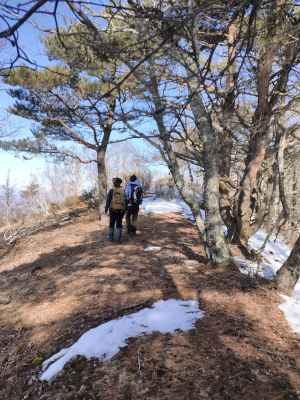 高登谷山