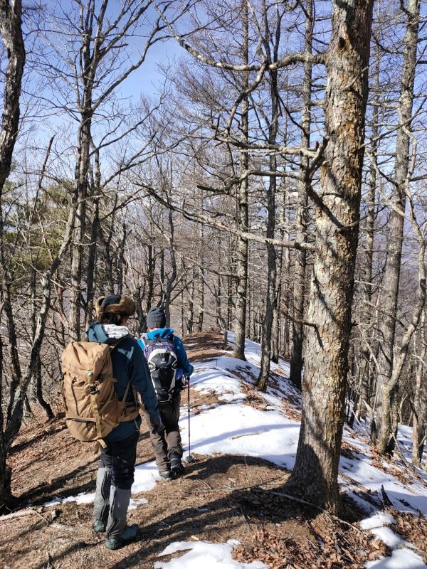 高登谷山