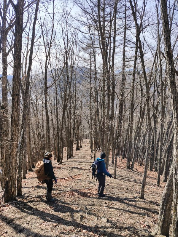 高登谷山