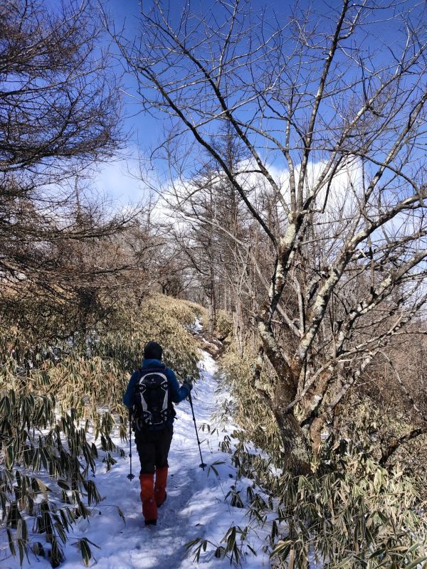 飯盛山