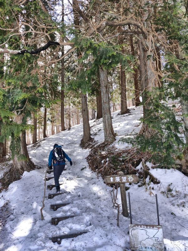 大見山