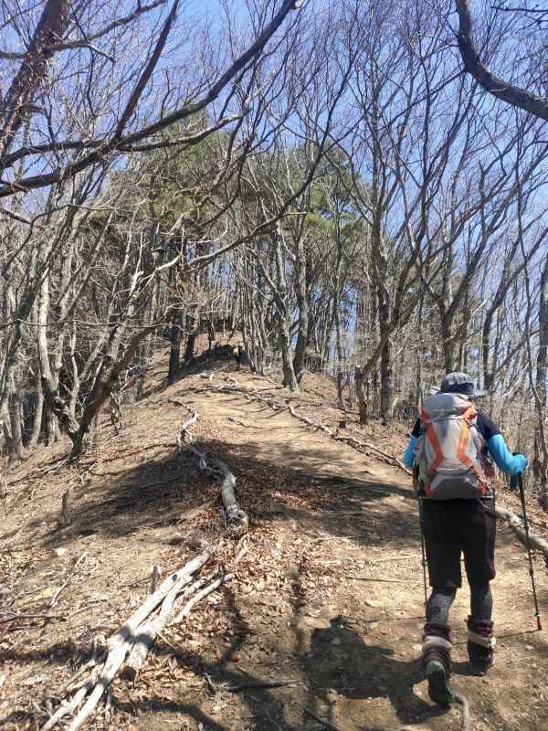 守屋山
