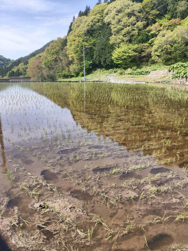太刀岡山