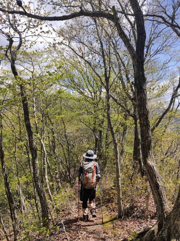 太刀岡山