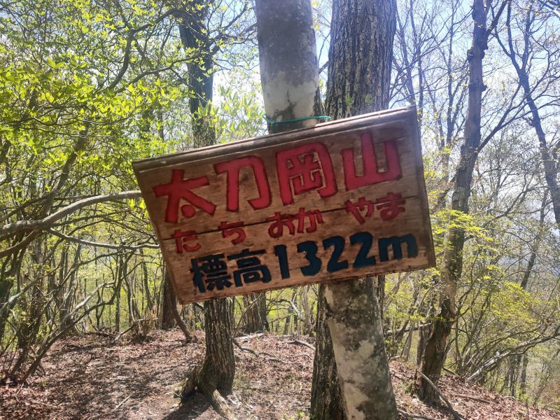 太刀岡山