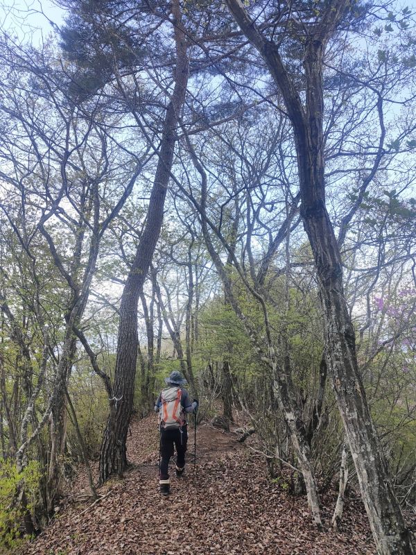 太刀岡山