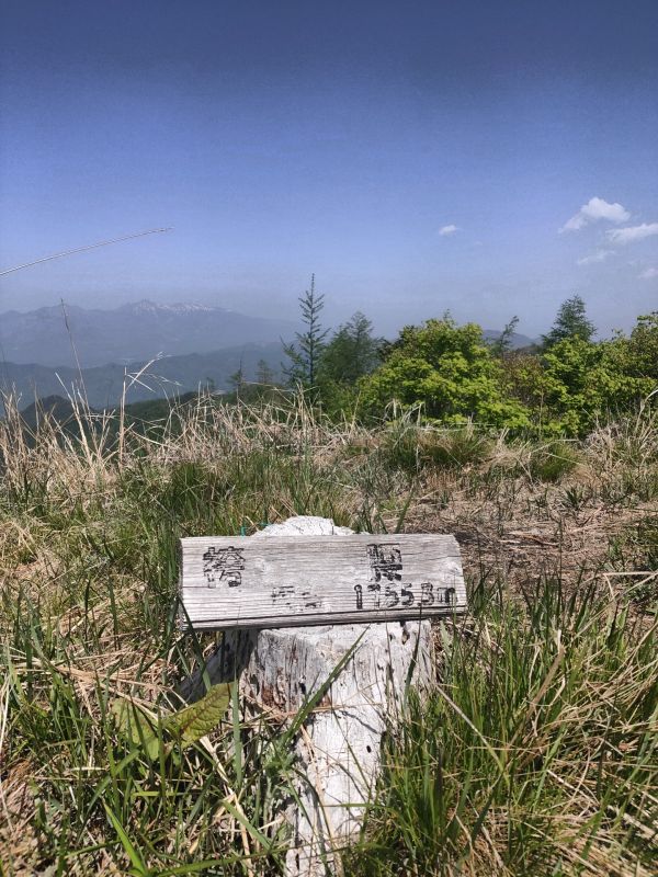 みみ石