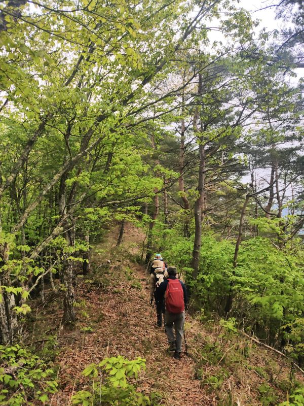 御陵山
