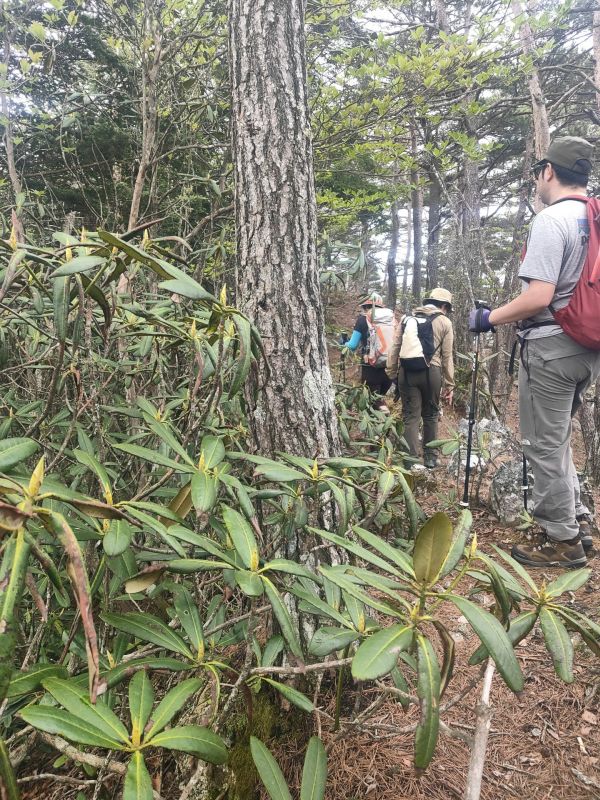 御陵山