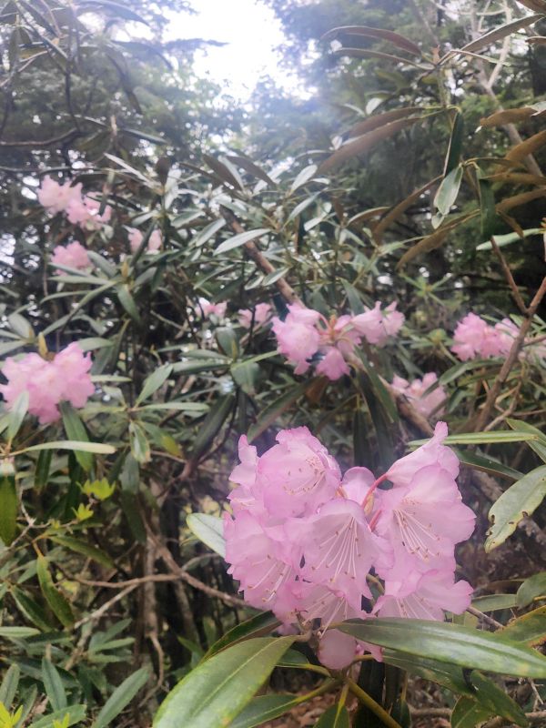 御陵山