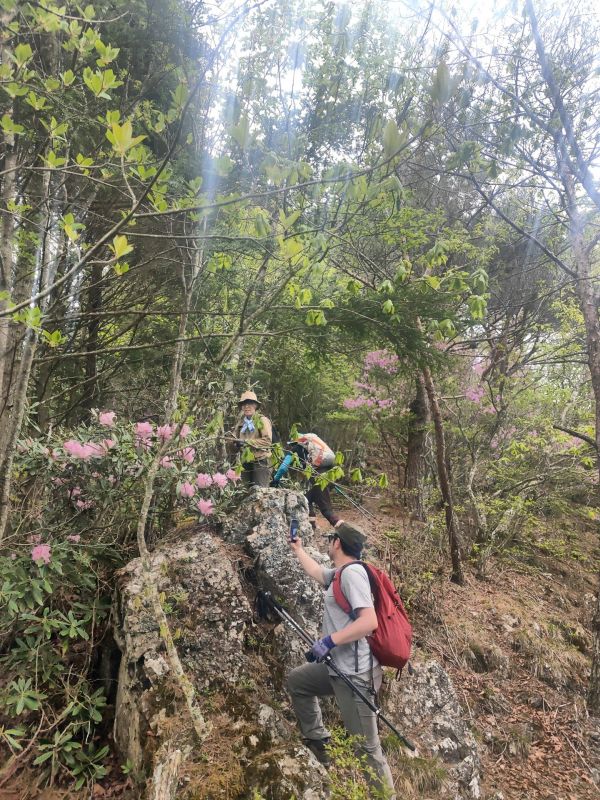 御陵山
